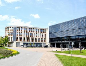 Faculty of Management and Social Communication